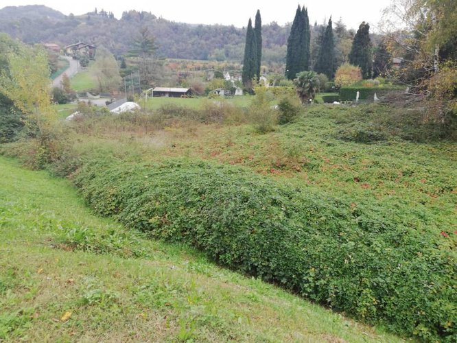 Vendesi terreno edificabile Scanzorosciate