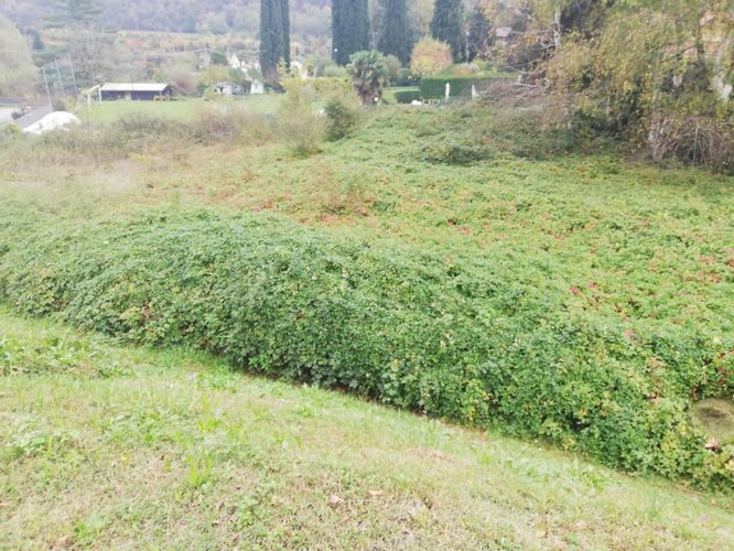 Vendesi terreno edificabile Scanzorosciate