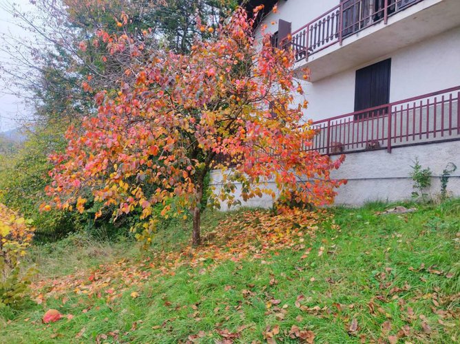 Villa unifamiliare immersa nel vedere con terreno Albino