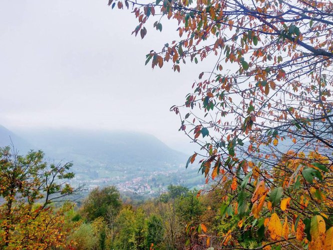 Villa unifamiliare immersa nel vedere con terreno Albino