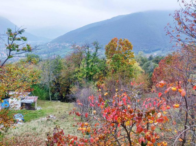 Villa unifamiliare immersa nel vedere con terreno Albino