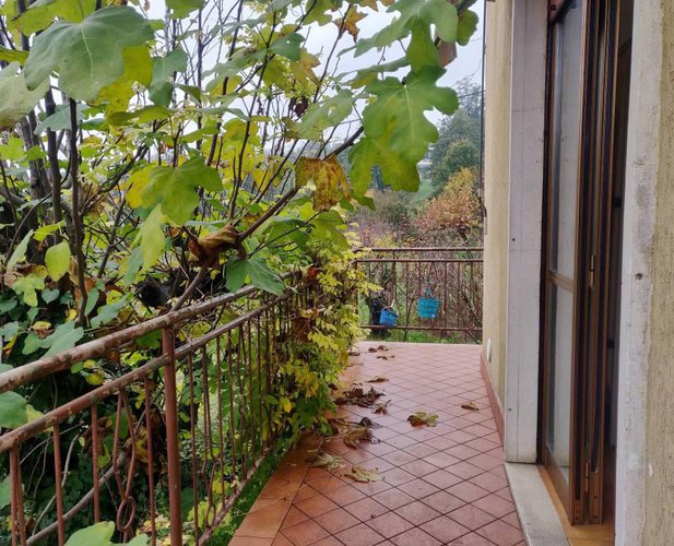 Quadrilocale di 130mq con giardino Albino