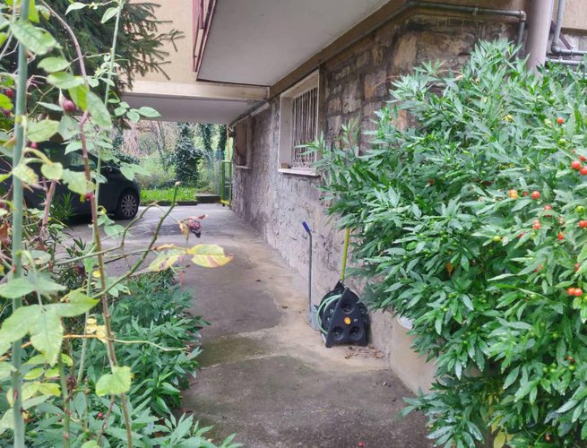 Quadrilocale di 130mq con giardino Albino