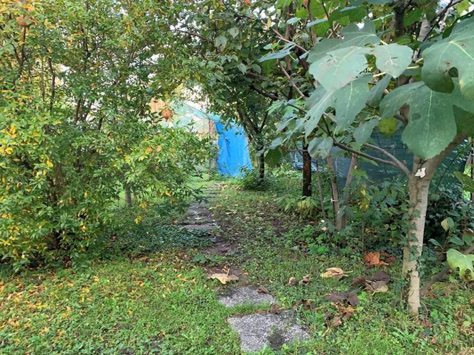 PORZIONE DI CASA CON UN MONOLOCALE, UN BILOCALE E GIARDINO Seriate