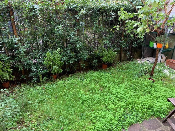 TRILOCALE INGRESSO INDIPENDENTE CON GIARDINO Bergamo