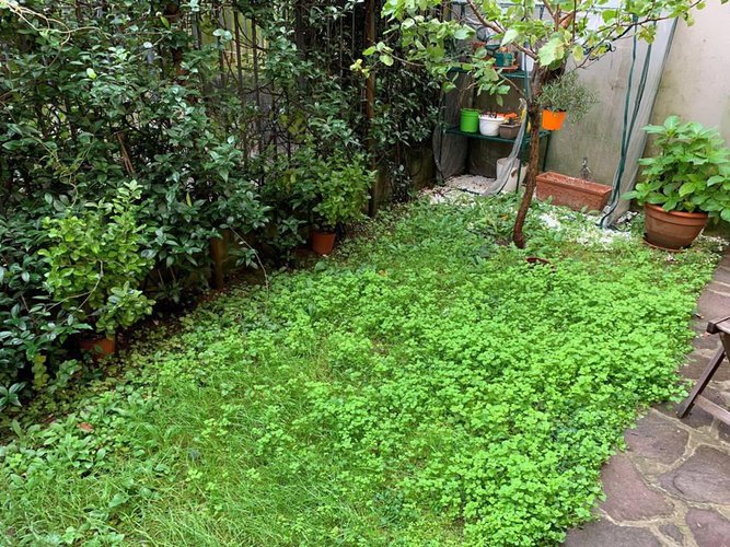 TRILOCALE INGRESSO INDIPENDENTE CON GIARDINO Bergamo