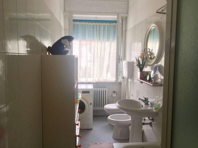 TRILOCALE IN BUONE CONDIZIONI A ROMANO DI LOMBARDIA Ghisalba