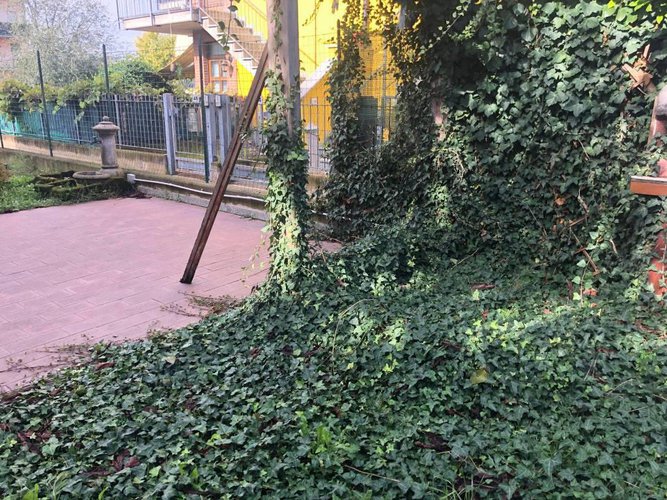 TRILOCALE CON GIARDINO Fara Olivana con Sola