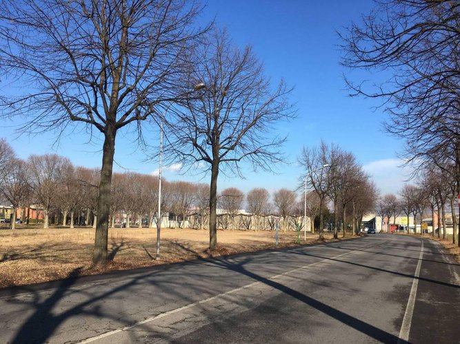 Verdello/Comun Nuovlotto di terreno edificabile di 20.000 Mq Verdello