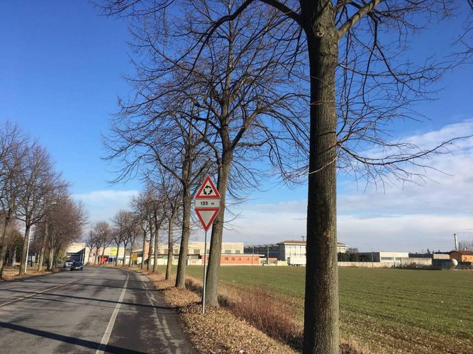 Verdello/Comun Nuovlotto di terreno edificabile di 20.000 Mq Verdello