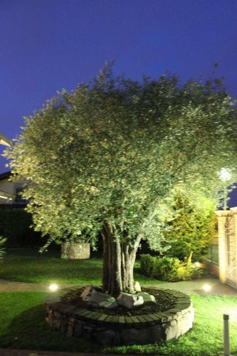 In zona esclusiva signorile villa singola con piscina a Misano Di Gera D'Adda Misano di Gera d'Adda