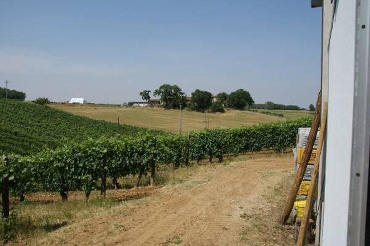Terreno agricolo Carpaneto piacentino