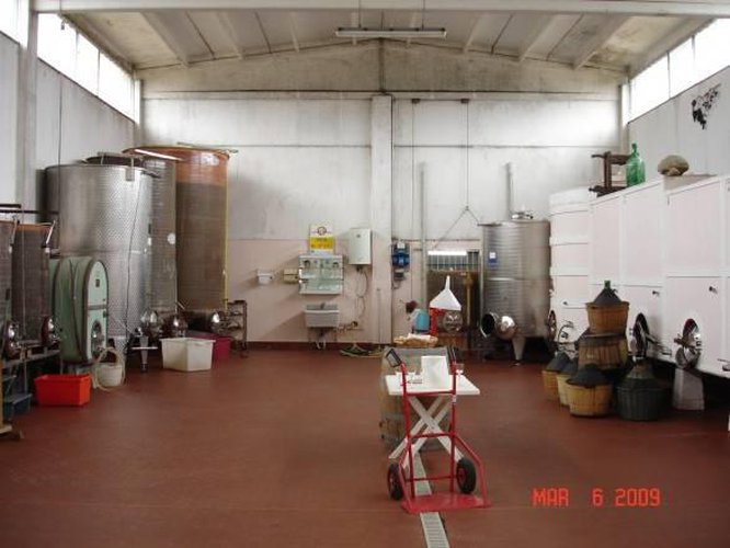 Terreno agricolo Carpaneto piacentino