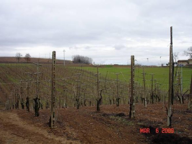 Terreno agricolo Carpaneto piacentino