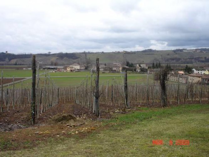 Terreno agricolo Carpaneto piacentino