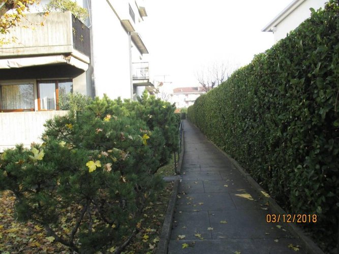 BILOCALE IN DALMINE