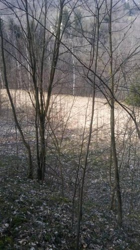 RUSTICHETTO CON AMPIO TERRENO DI 58.000 MQ San Pellegrino Terme