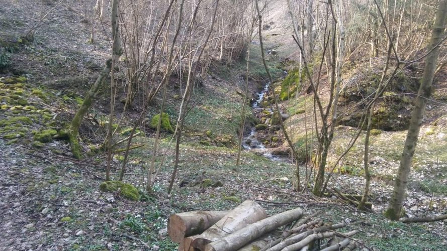 RUSTICHETTO CON AMPIO TERRENO DI 58.000 MQ San Pellegrino Terme