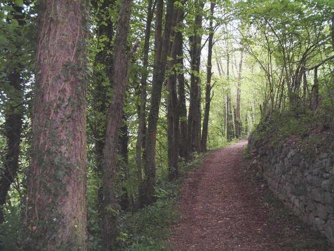 RUSTICO RISTRUTTURATO INDIPENDENTE CON AMPIO TERRENO Piazza Brembana