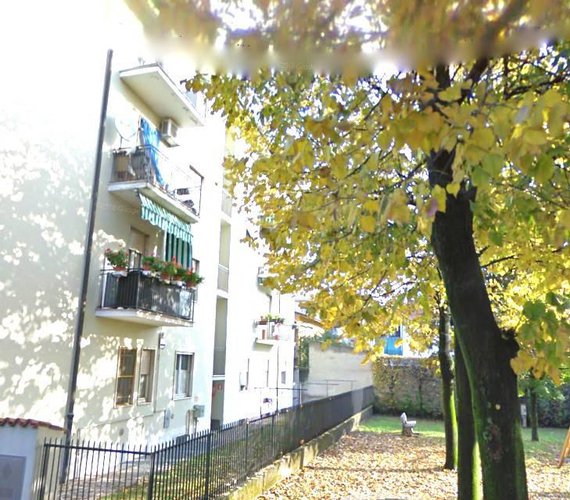 LIBERO SUBITO! AMPIO BILOCALE CON CANTINA A VERDELLO