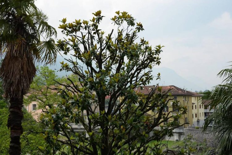 Vendesi appartamento da sogno, da Vedere. Unico! Darfo Boario