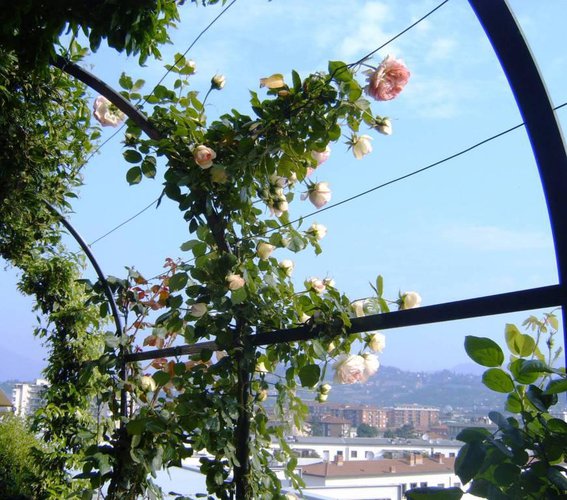 Attico con vista meravigliosa e ampi terrazzi. Bergamo