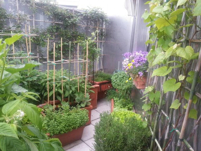 Attico con vista meravigliosa e ampi terrazzi. Bergamo