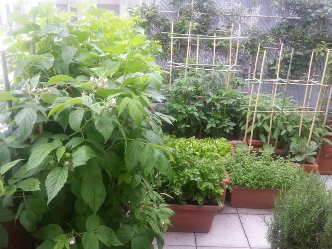 Attico con vista meravigliosa e ampi terrazzi. Bergamo