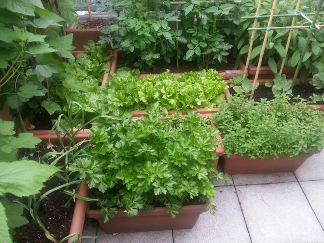 Attico con vista meravigliosa e ampi terrazzi. Bergamo