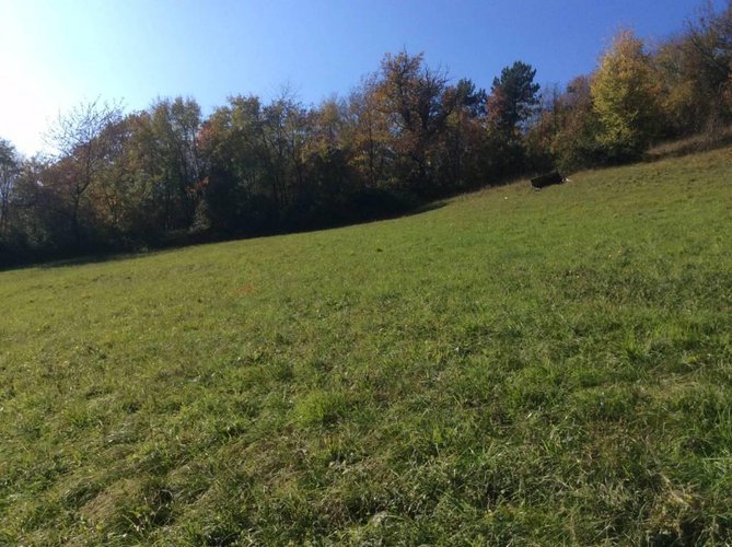 Spinone al Lago, Cascina di 90 mq e terreno agricolo 20.000 mq VISTA LAGO ENDINE Spinone al Lago