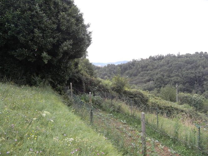 Almenno San Salvatore Almenno San Bartolomeo