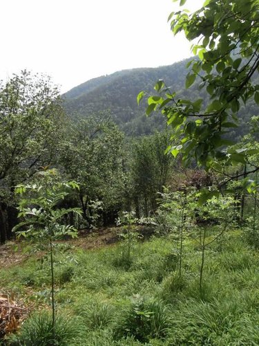 Rustico a Ubiale Clanezzo Ubiale Clanezzo