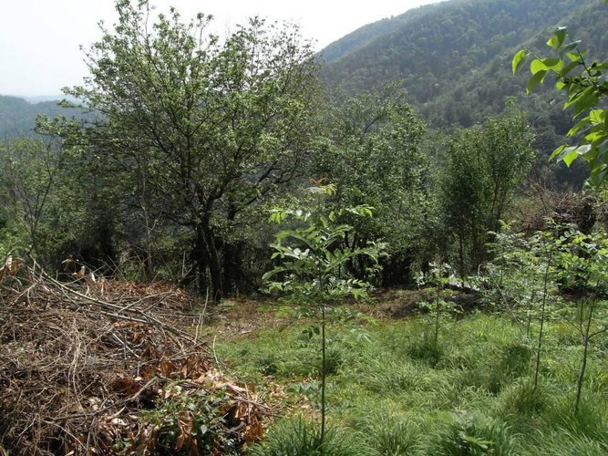 Rustico a Ubiale Clanezzo Ubiale Clanezzo