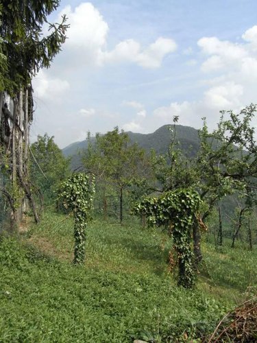 Rustico a Ubiale Clanezzo Ubiale Clanezzo