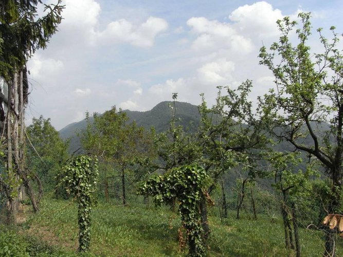 Rustico a Ubiale Clanezzo Ubiale Clanezzo