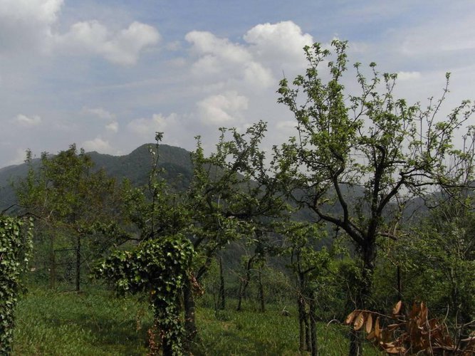 Rustico a Ubiale Clanezzo Ubiale Clanezzo