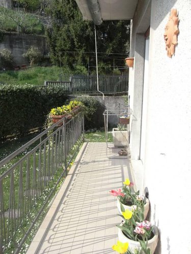 Zogno INTROVABILE Zogno