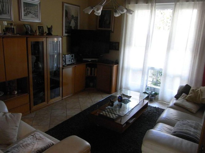 Zogno INTROVABILE Zogno