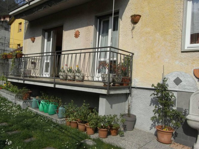 Zogno INTROVABILE Zogno