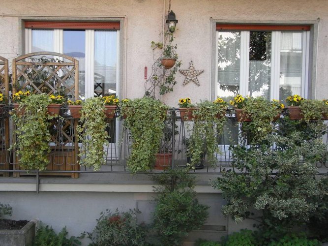 Zogno INTROVABILE Zogno