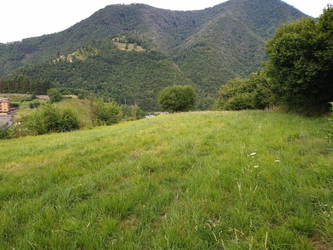 Sedrina - Botta Sedrina