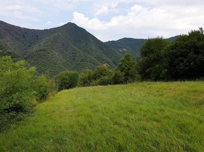 Sedrina - Botta Sedrina