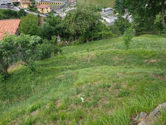 Sedrina - Botta Sedrina