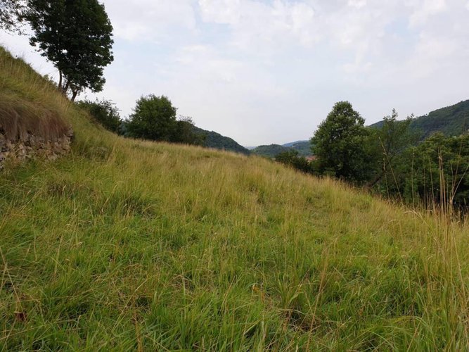 Sedrina - Botta Sedrina