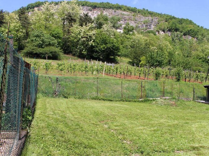 Casa indipendente con terreno e autorimessa Zandobbio