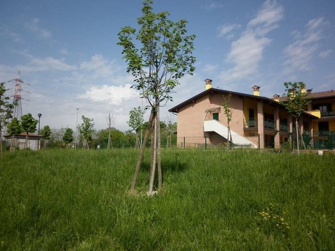 Bilocale Gorlago