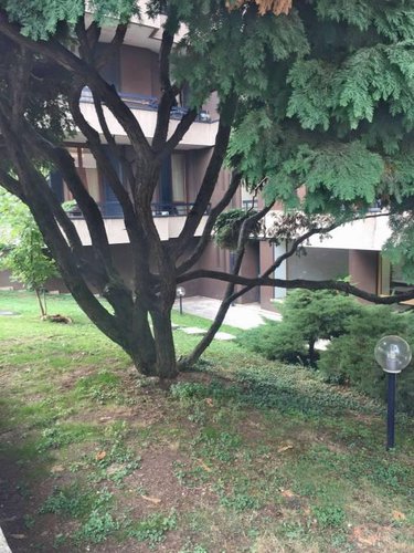 Seregno 3 locali zona stazione Seregno