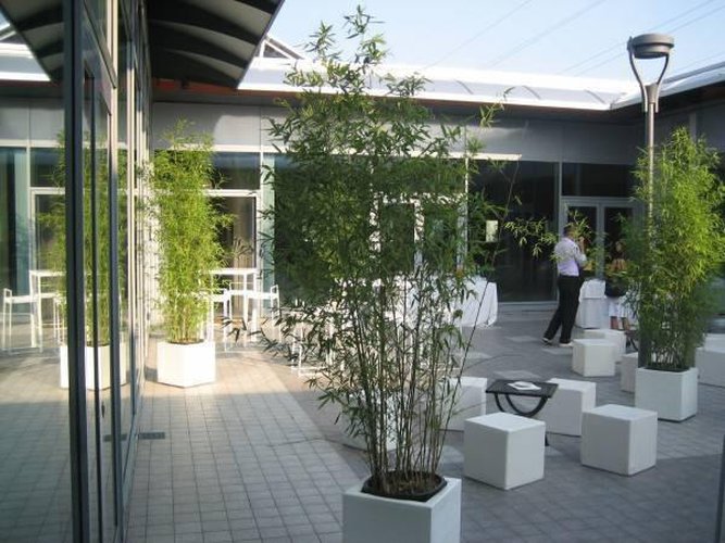 ALBANO S.A. Albano Sant'Alessandro