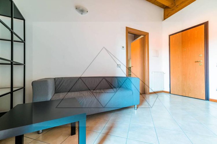 ALBANO S.A. Albano Sant'Alessandro