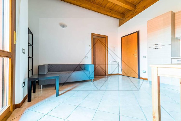 ALBANO S.A. Albano Sant'Alessandro